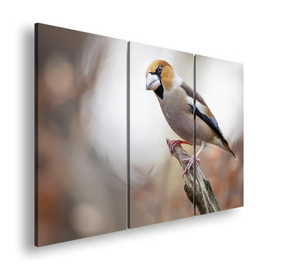 Hauptbild Farbig 3 Teilig