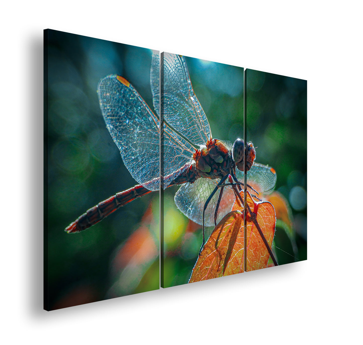 Hauptbild Farbig 3 Teilig