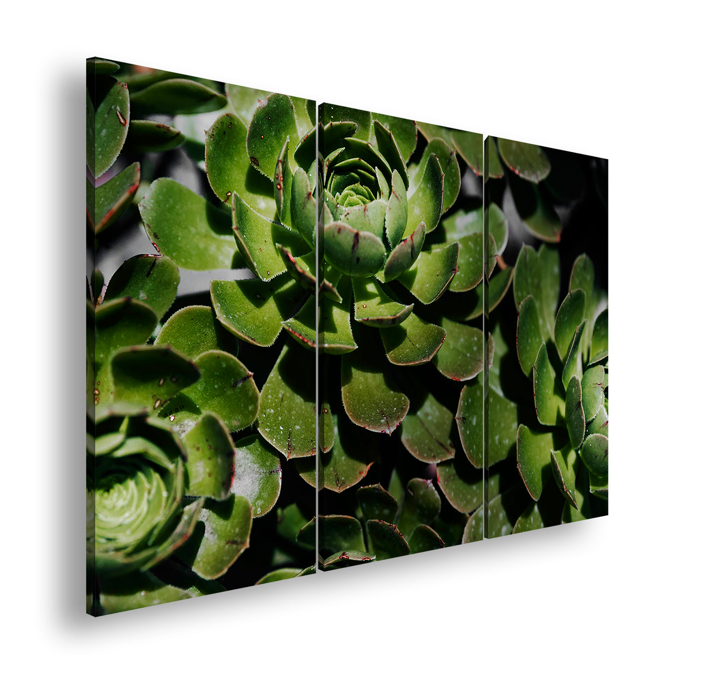 Hauptbild Farbig 3 Teilig