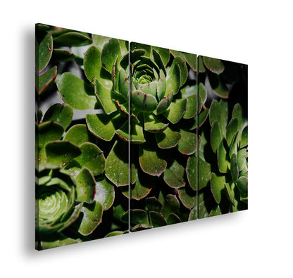 Hauptbild Farbig 3 Teilig