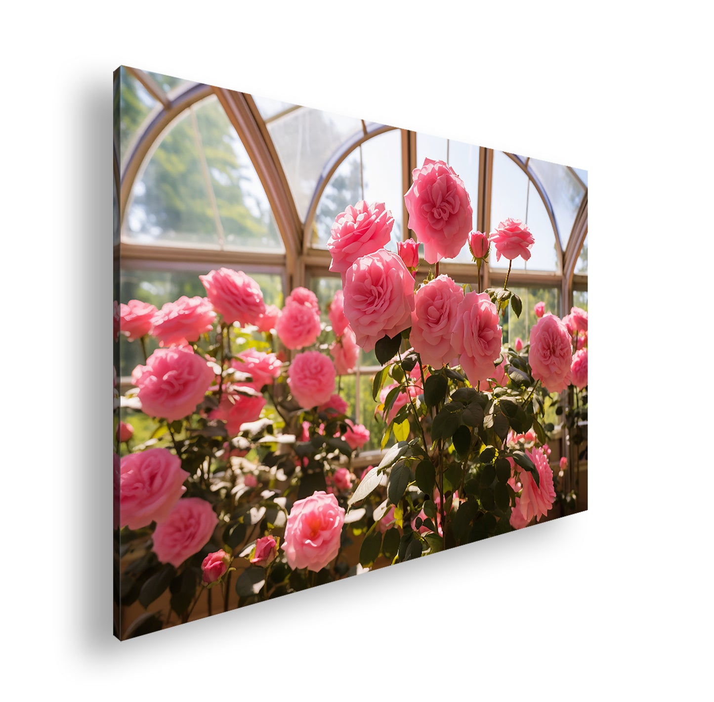 Hauptbild Farbig Standart