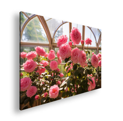 Hauptbild Farbig Standart