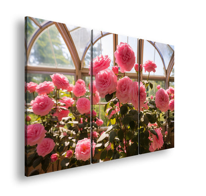 Hauptbild Farbig 3 Teilig