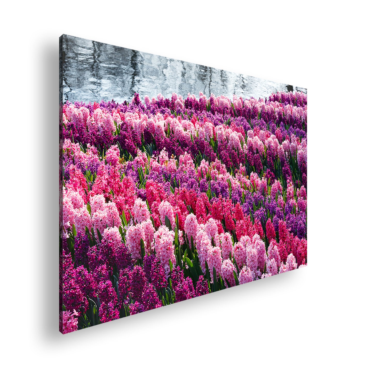 Hauptbild Farbig Standart