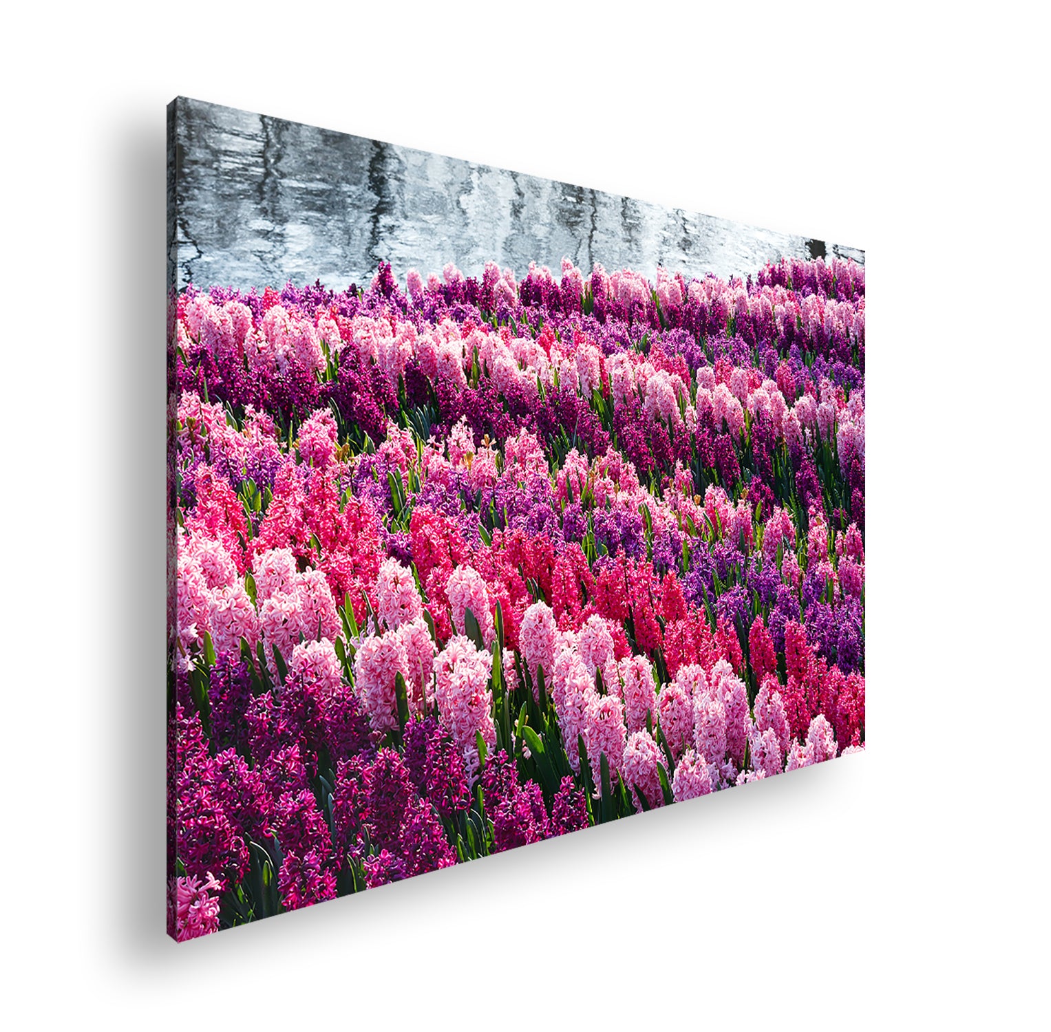 Hauptbild Farbig Standart