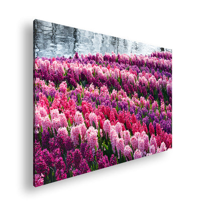 Hauptbild Farbig Standart