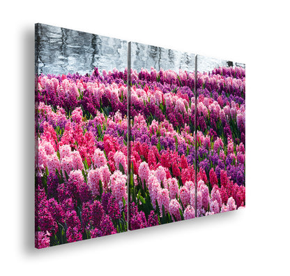 Hauptbild Farbig 3 Teilig