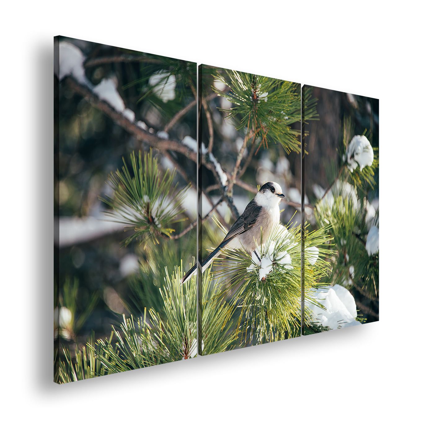 Hauptbild Farbig 3 Teilig