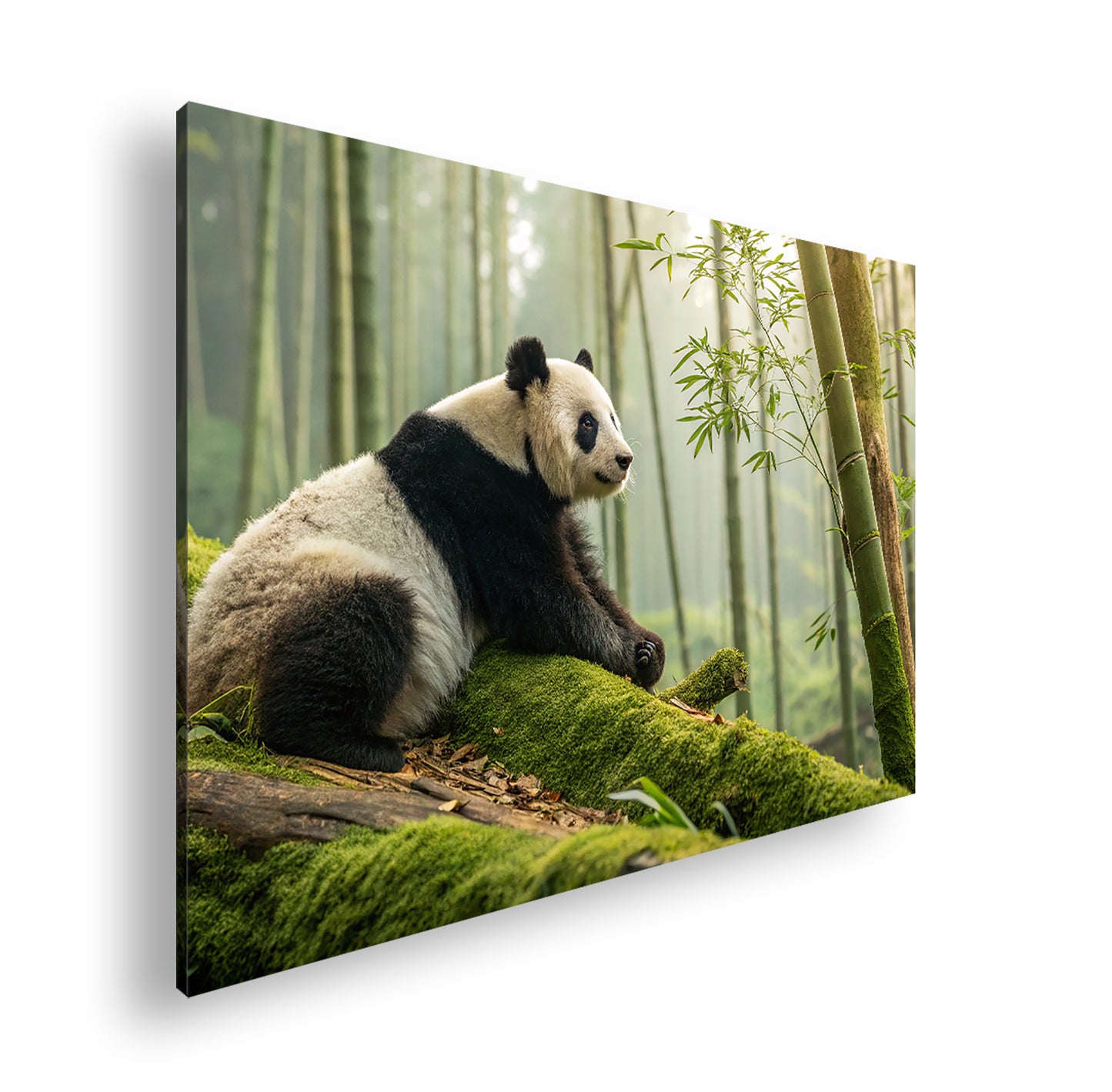 Hauptbild Farbig Standart