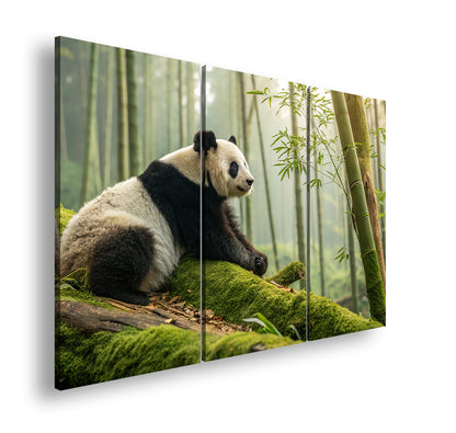 Hauptbild Farbig 3 Teilig