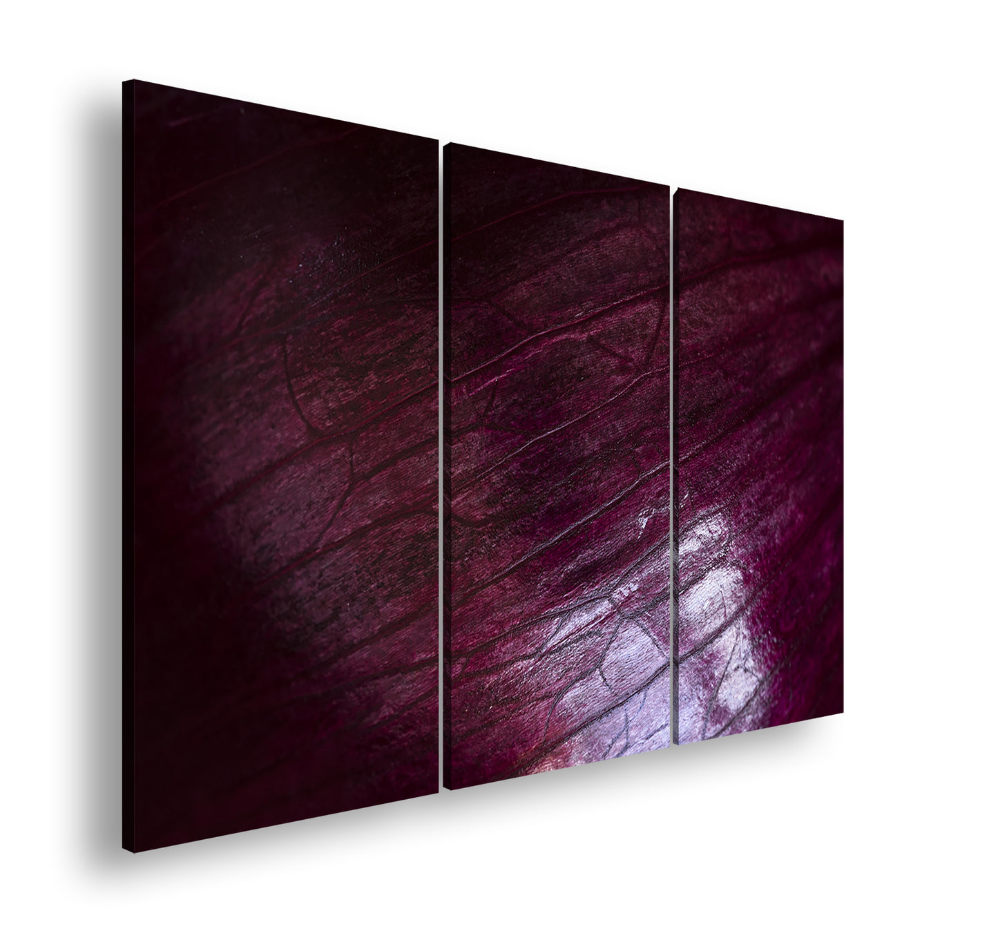 Hauptbild Farbig 3 Teilig