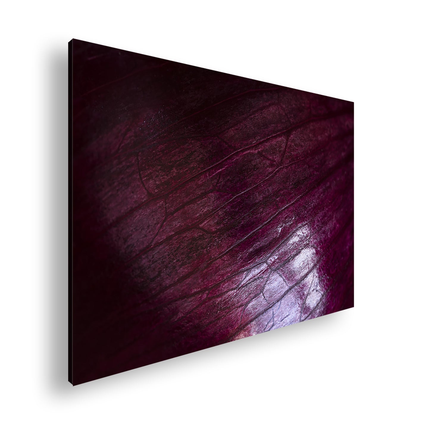 Hauptbild Farbig Standart