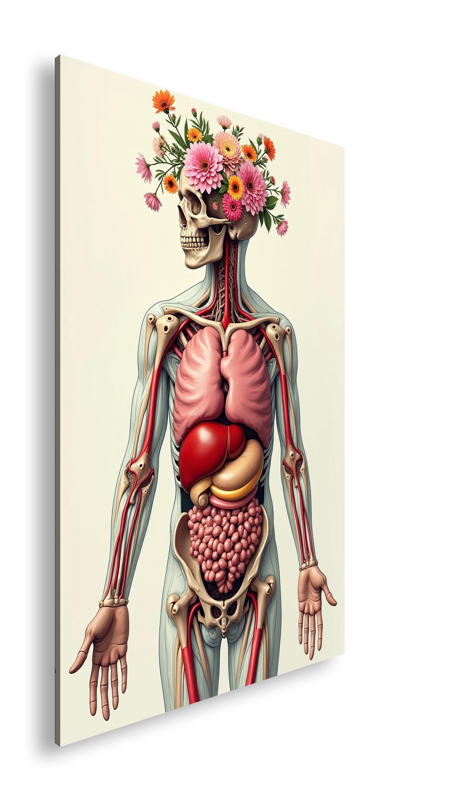 Hauptbild Farbig Standart