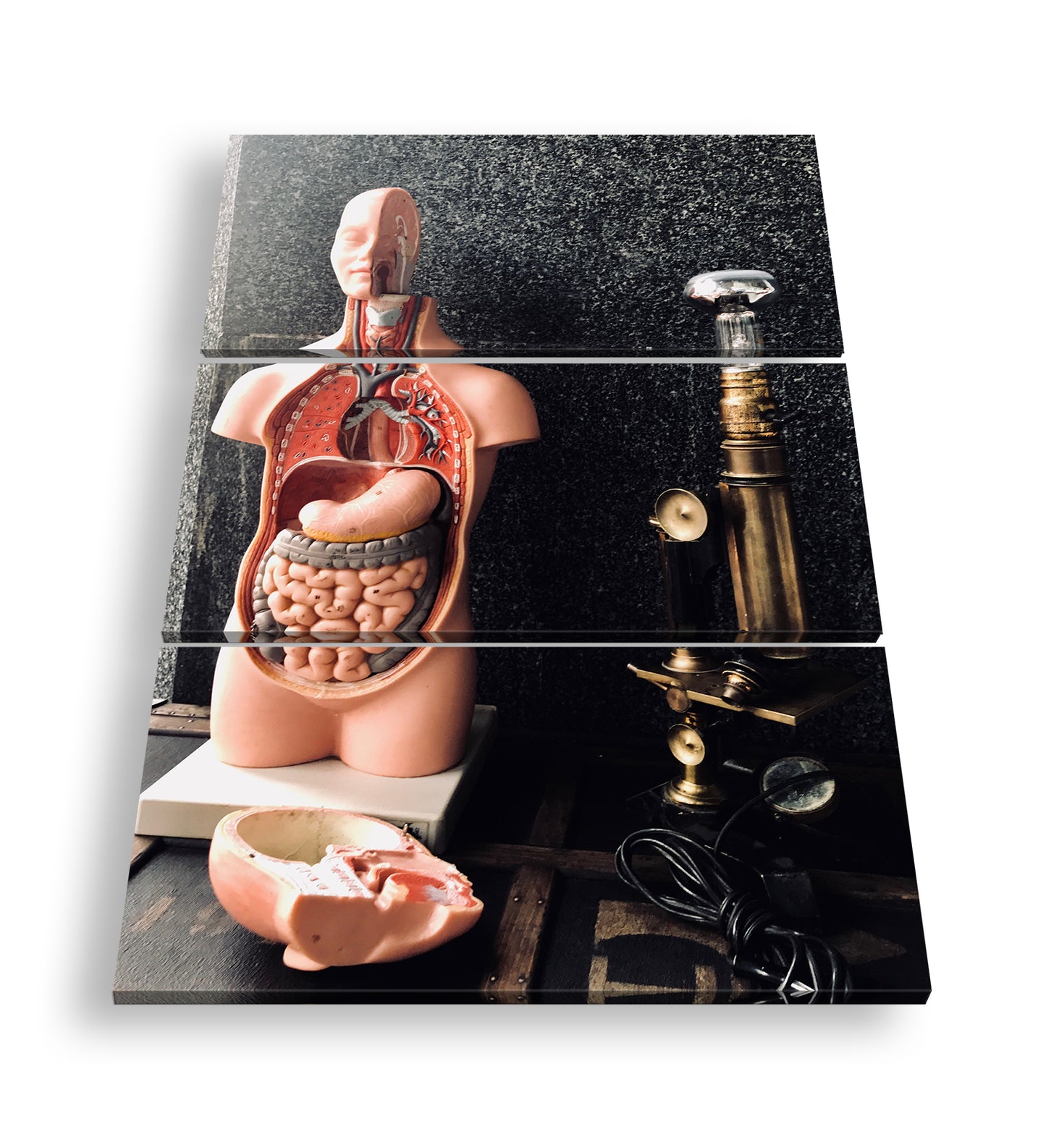 Hauptbild Farbig 3 Teilig