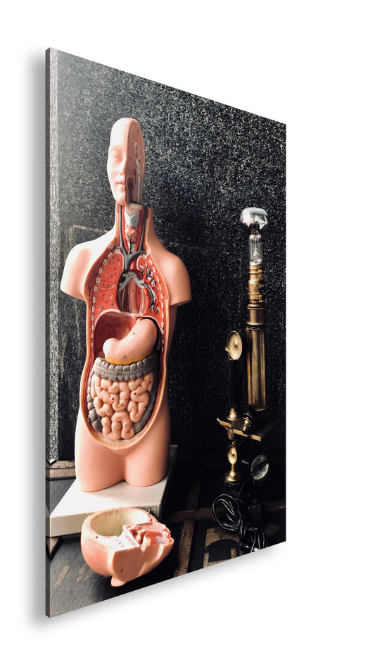 Hauptbild Farbig Standart