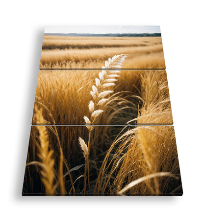 Hauptbild Farbig 3 Teilig