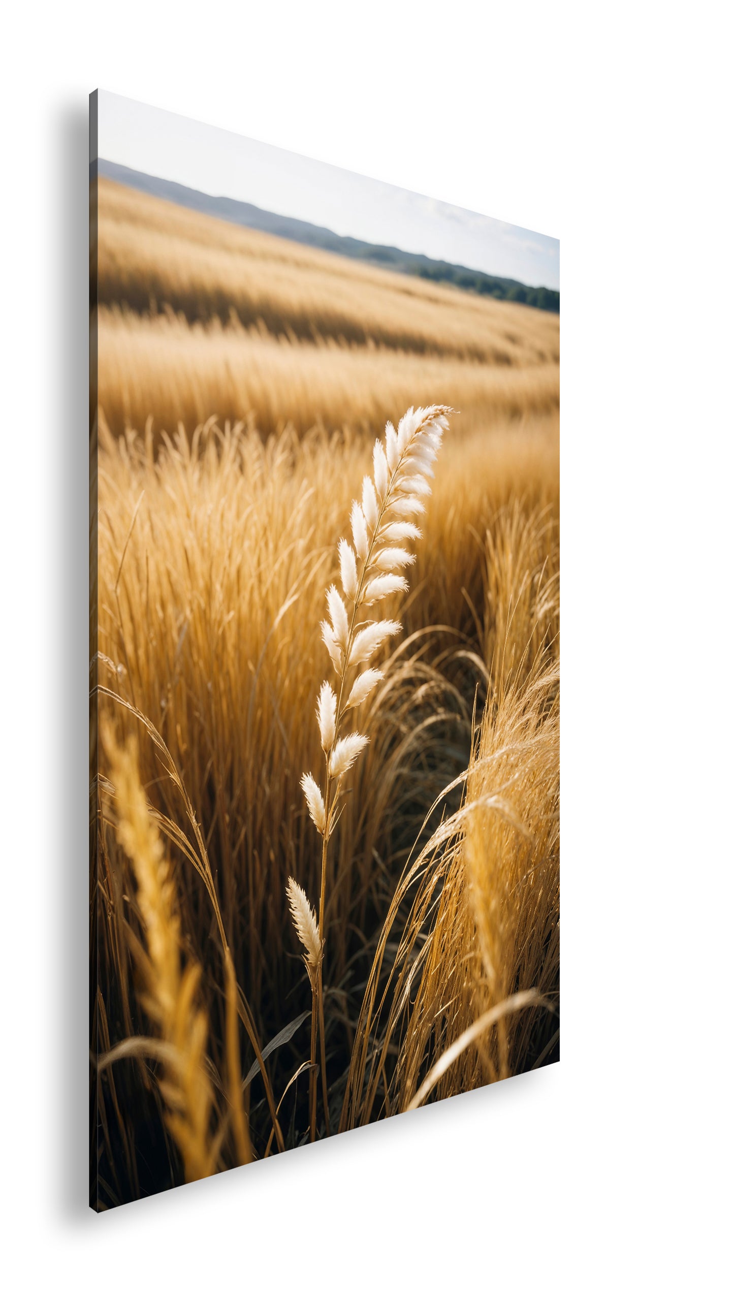 Hauptbild Farbig Standart