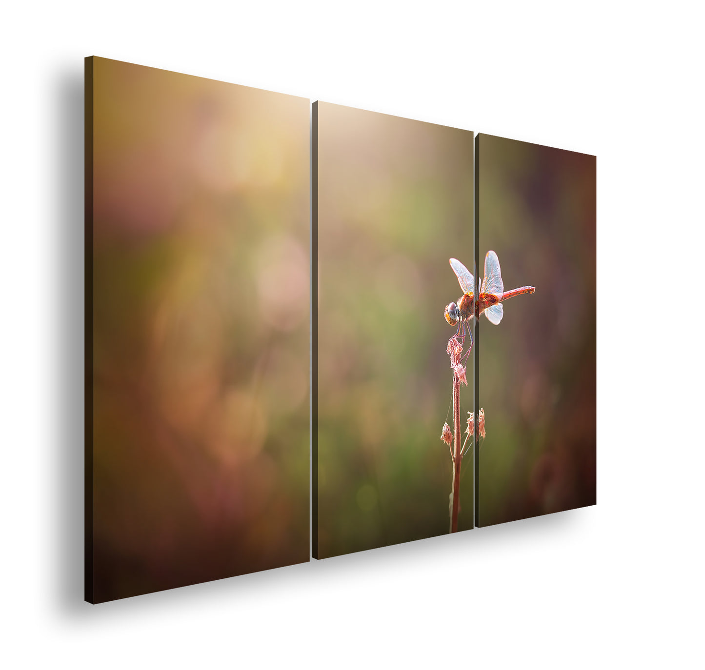 Hauptbild Farbig 3 Teilig