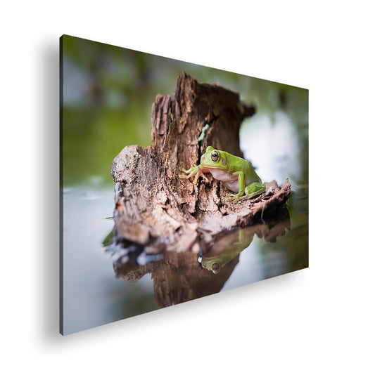 Hauptbild Farbig Standart