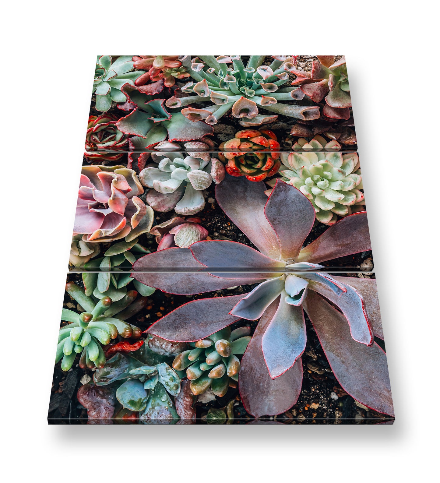 Hauptbild Farbig 3 Teilig