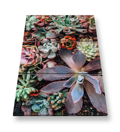 Hauptbild Farbig 3 Teilig