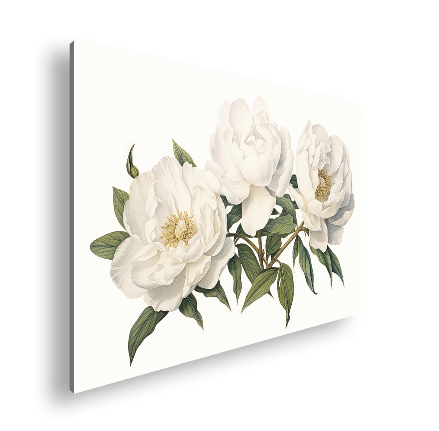 Hauptbild Farbig Standart