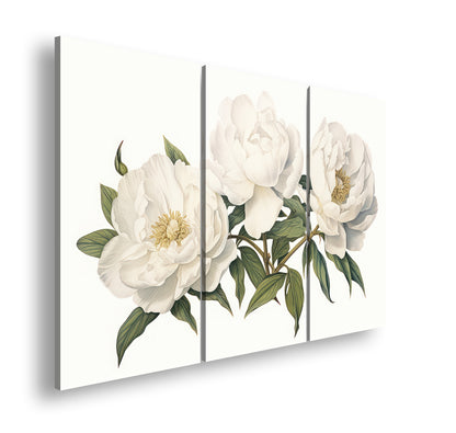 Hauptbild Farbig 3 Teilig