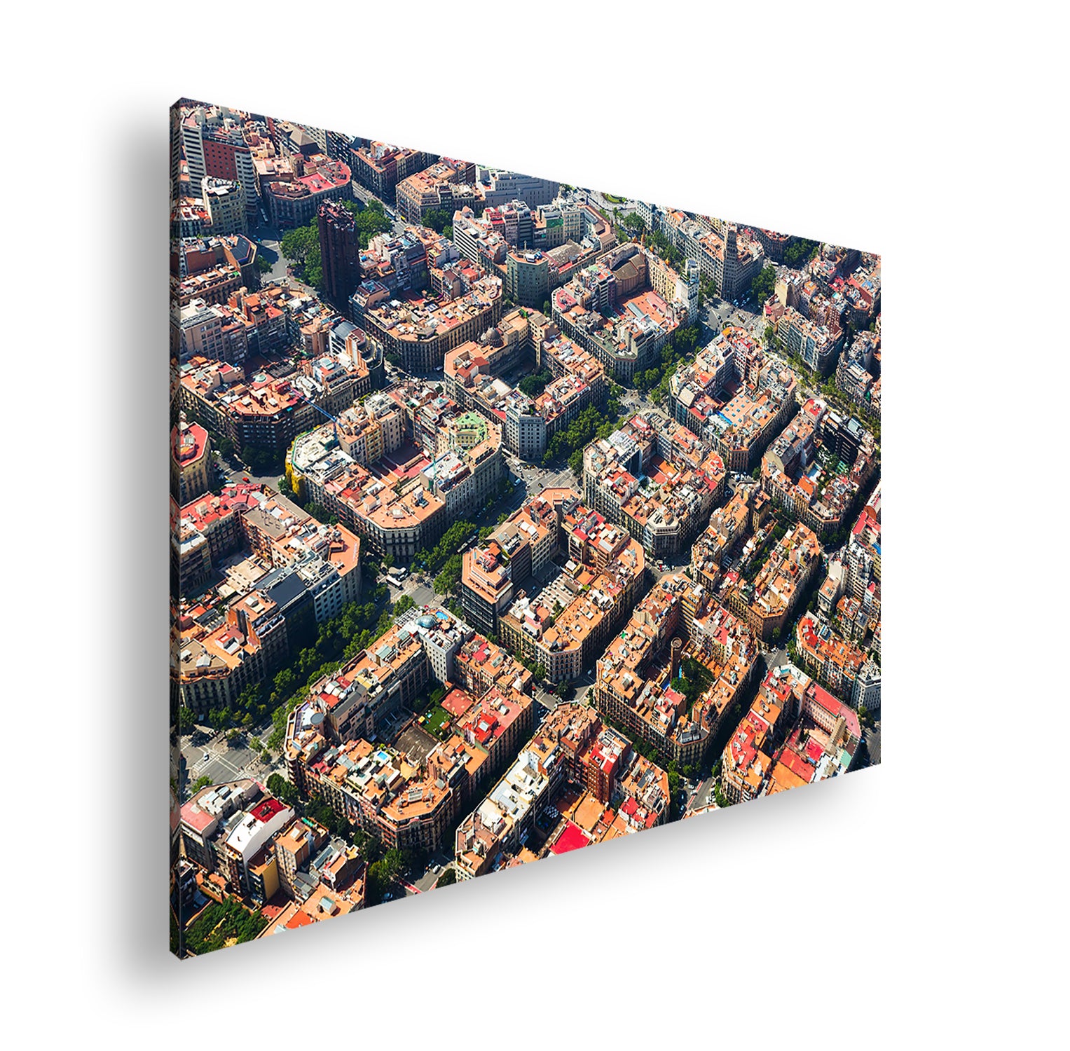 Hauptbild Farbig Standart