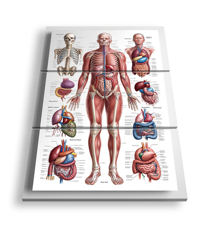 Hauptbild Farbig 3 Teilig