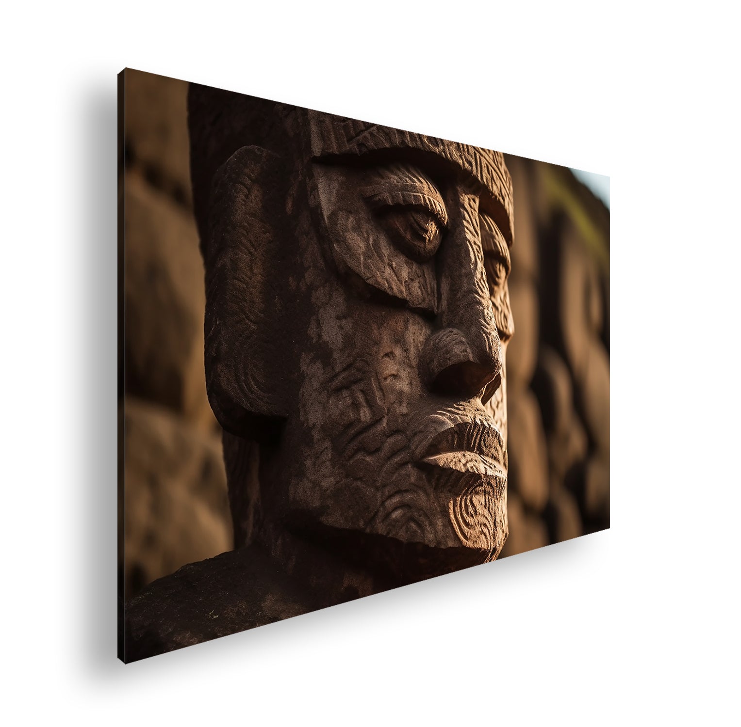 Hauptbild Farbig Standart