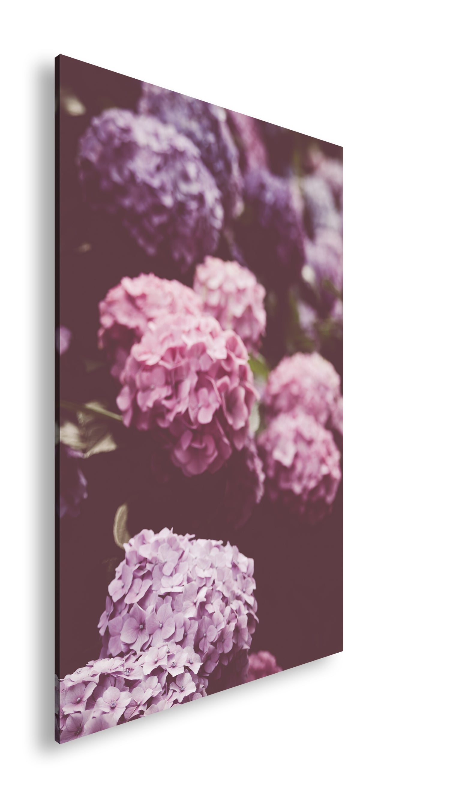 Hauptbild Farbig Standart