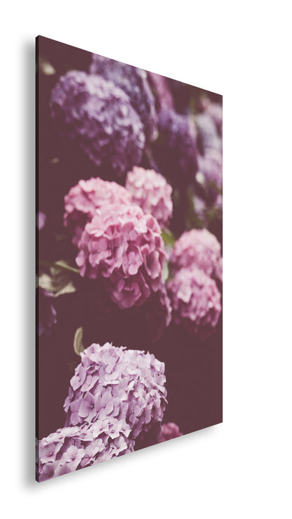 Hauptbild Farbig Standart