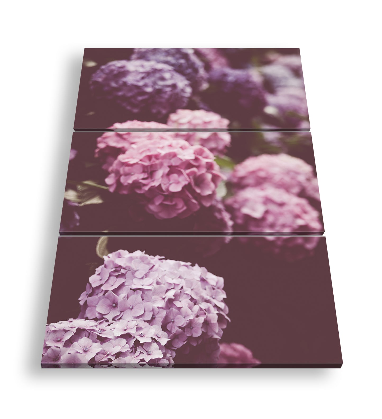 Hauptbild Farbig 3 Teilig