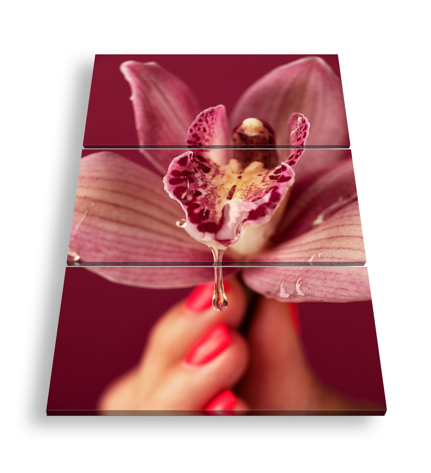 Hauptbild Farbig 3 Teilig