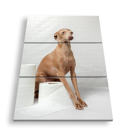 Hauptbild Farbig 3 Teilig