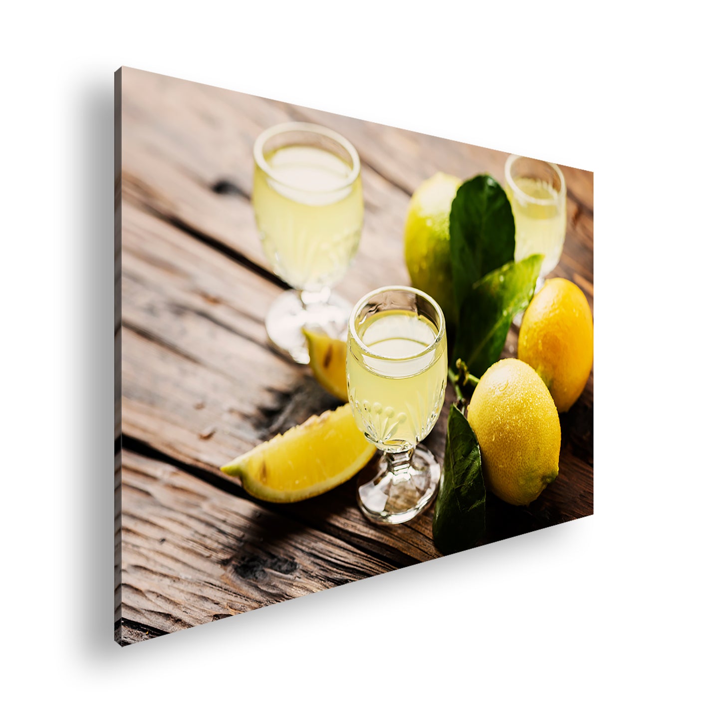 Hauptbild Farbig Standart