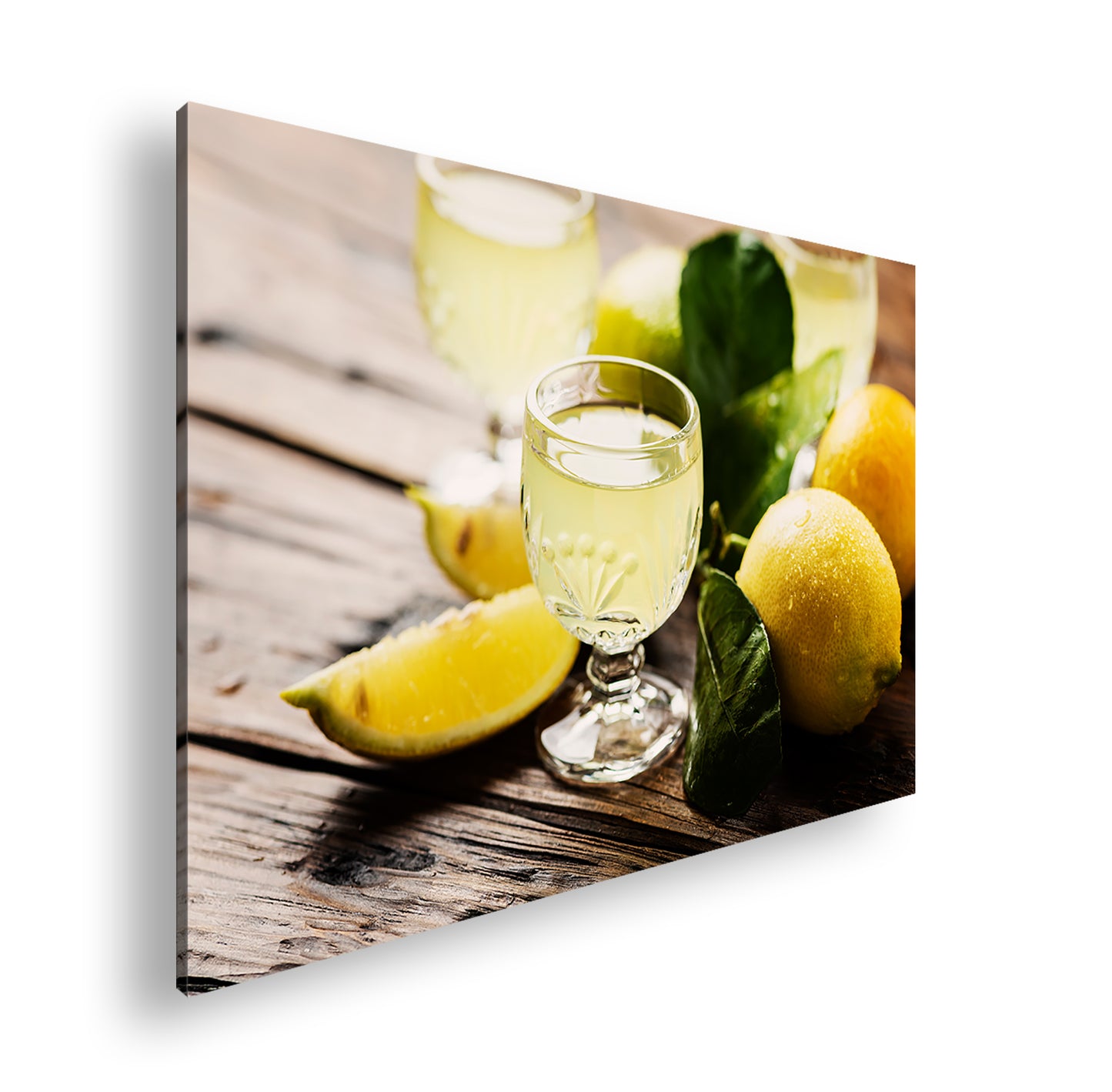 Hauptbild Farbig Standart