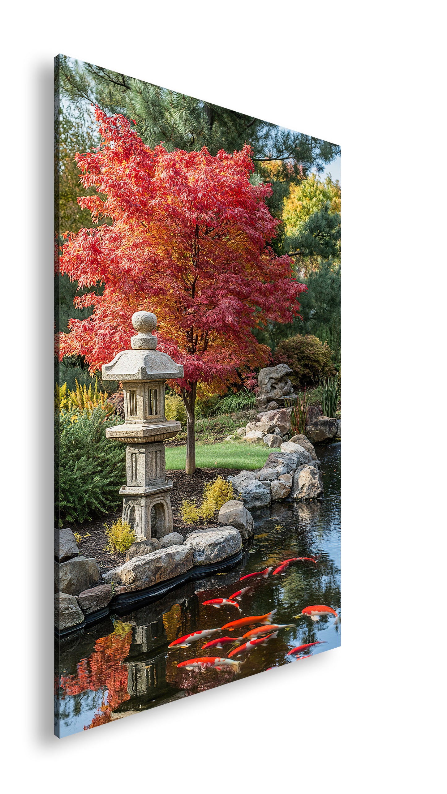 Hauptbild Farbig Standart