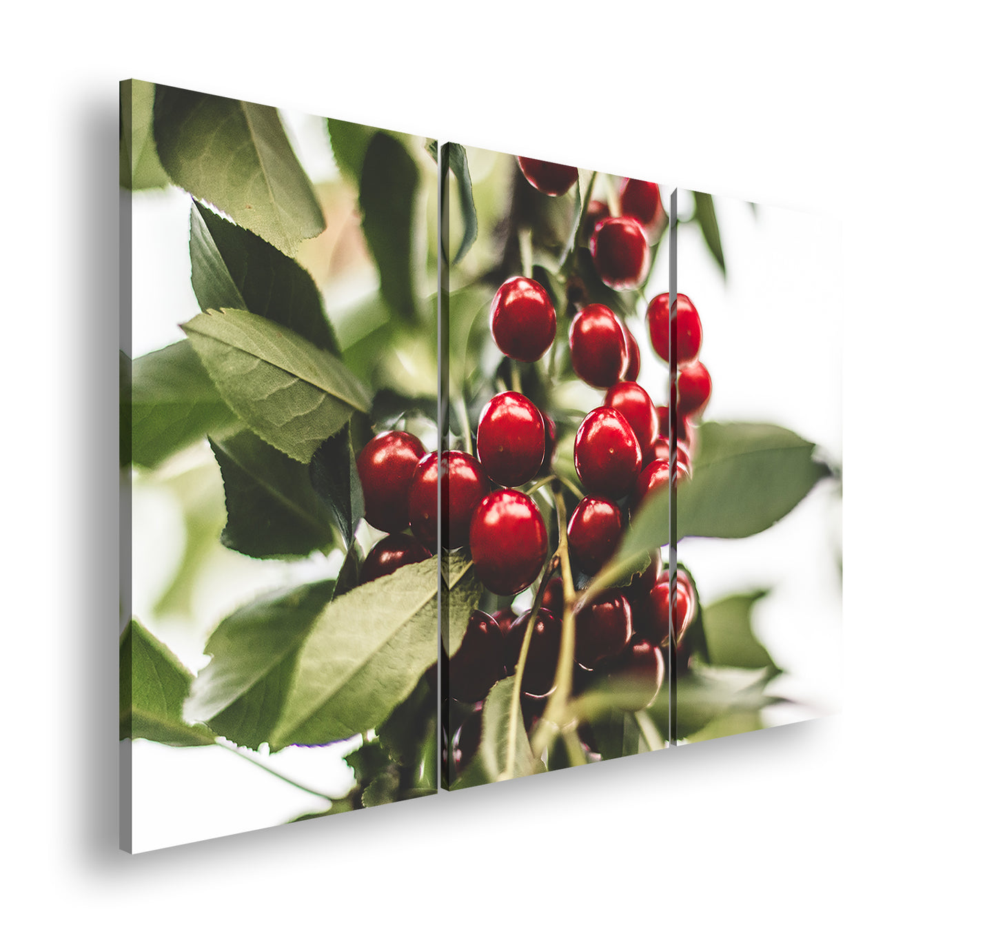 Hauptbild Farbig 3 Teilig