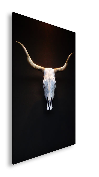 Hauptbild Farbig Standart