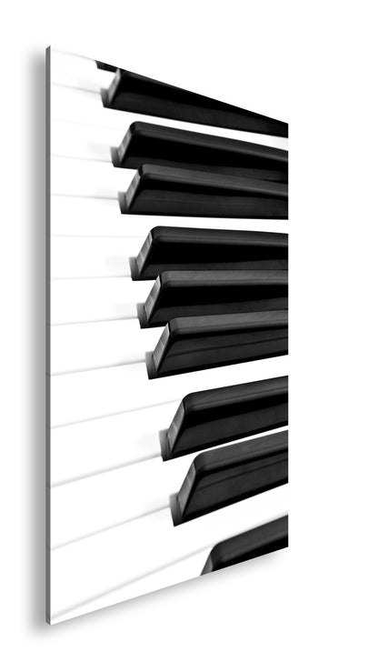 Hauptbild Farbig Standart