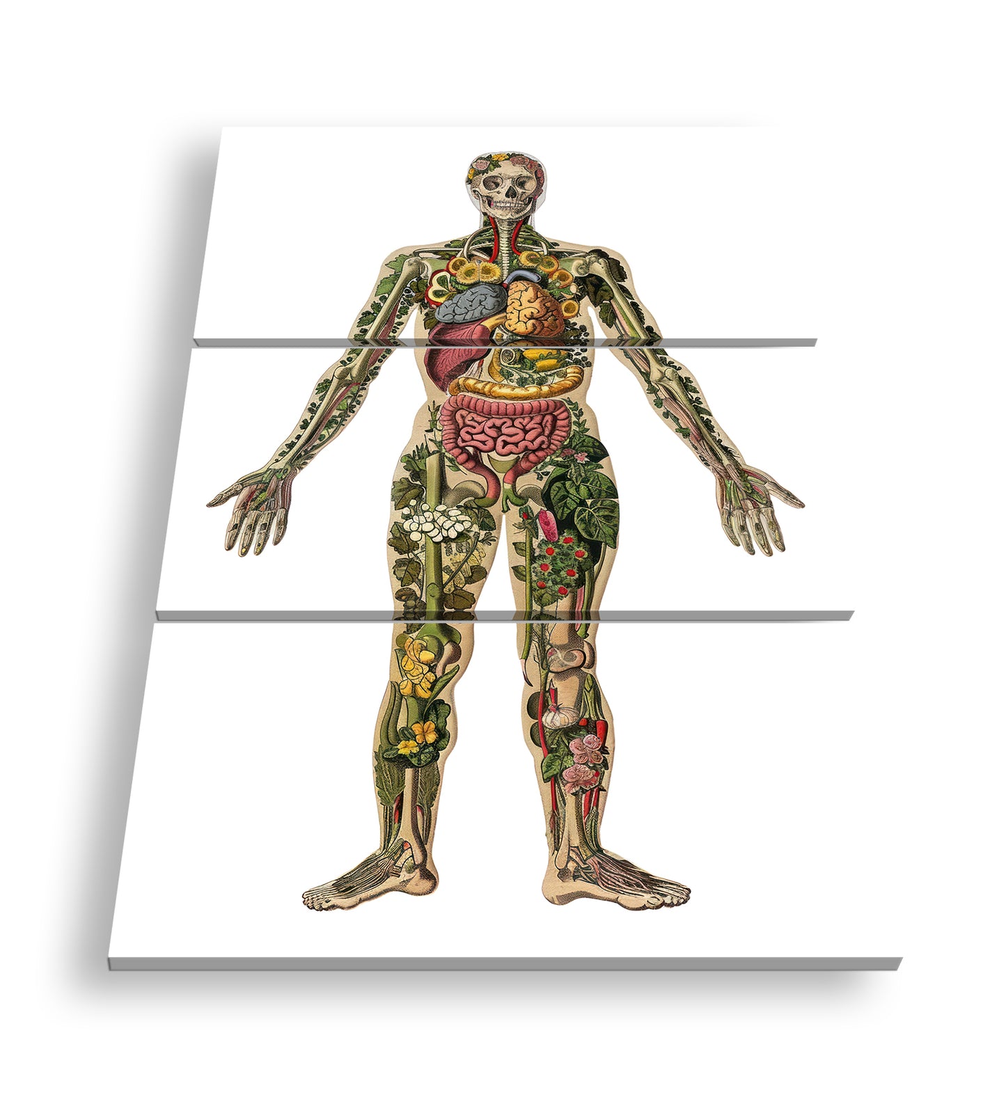 Hauptbild Farbig 3 Teilig