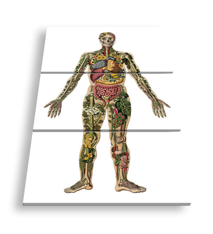 Hauptbild Farbig 3 Teilig