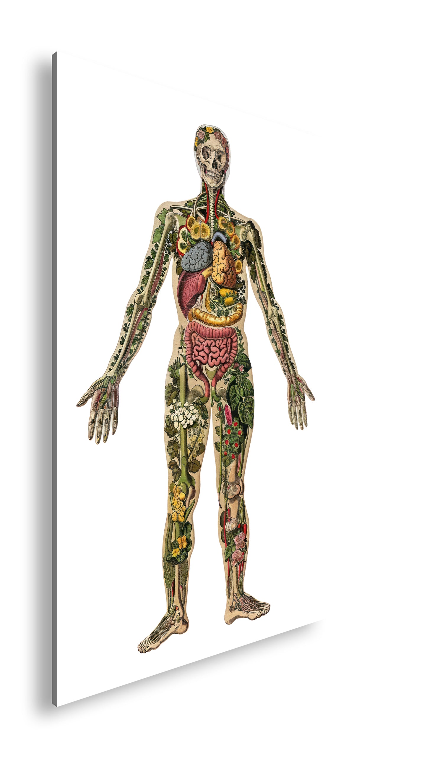 Hauptbild Farbig Standart