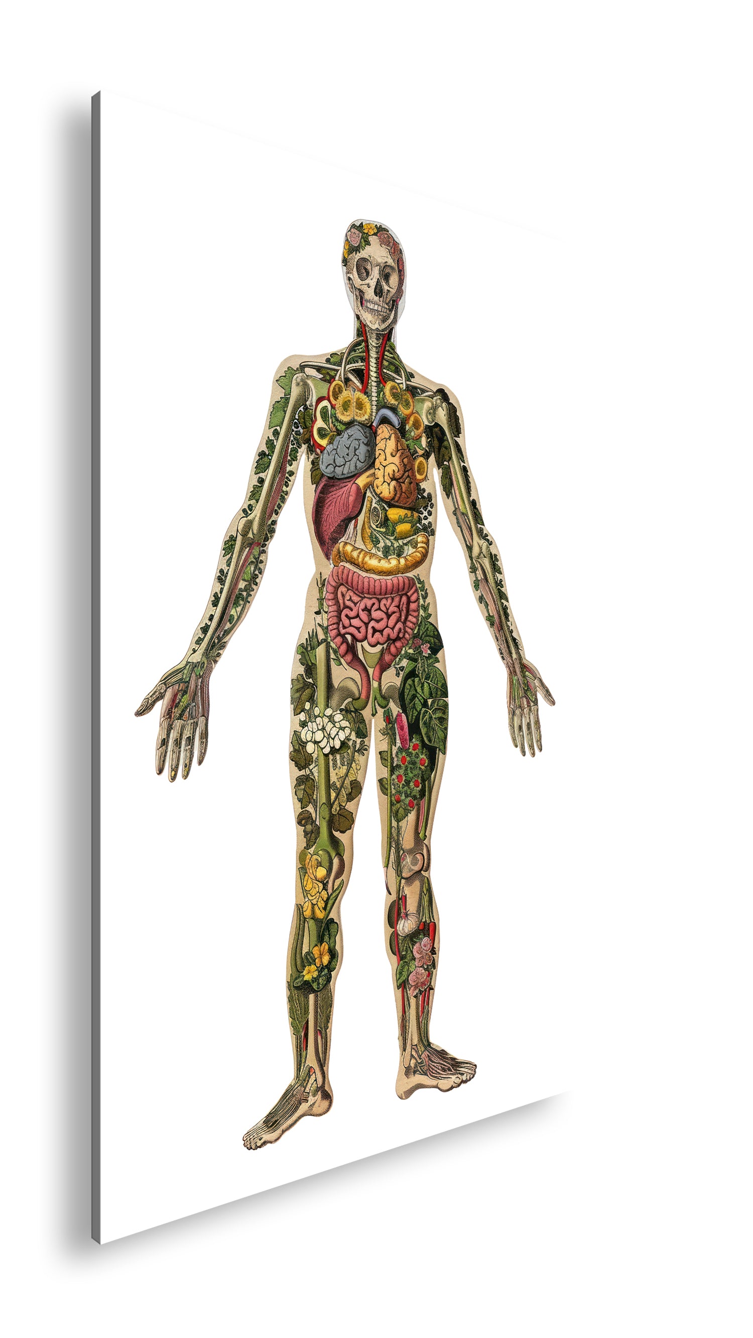 Hauptbild Farbig Standart