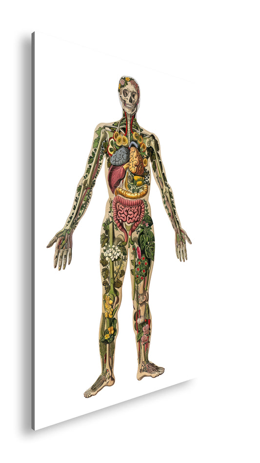 Hauptbild Farbig Standart