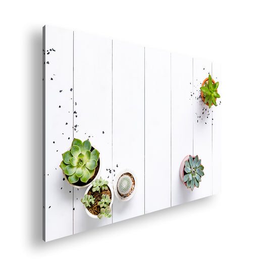 Hauptbild Farbig Standart