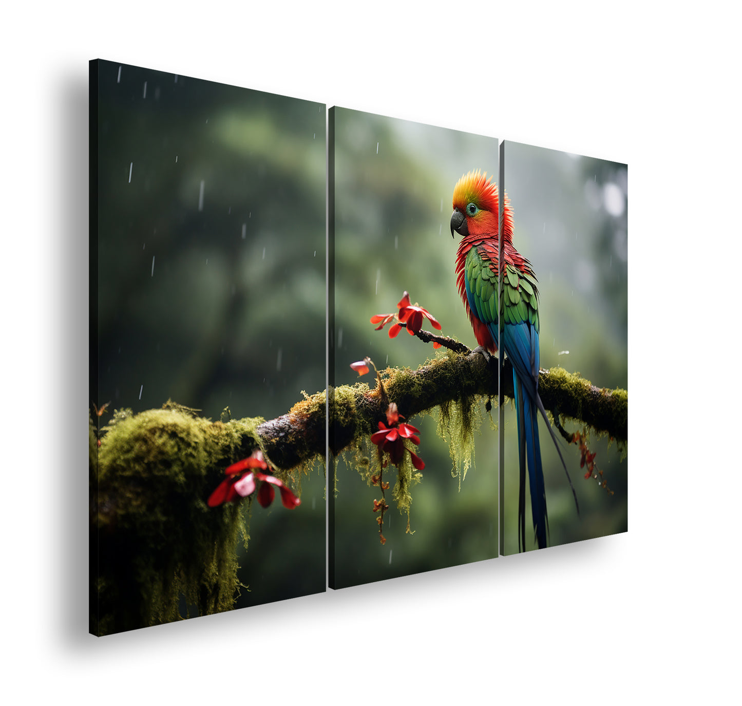 Hauptbild Farbig 3 Teilig