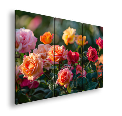 Hauptbild Farbig 3 Teilig