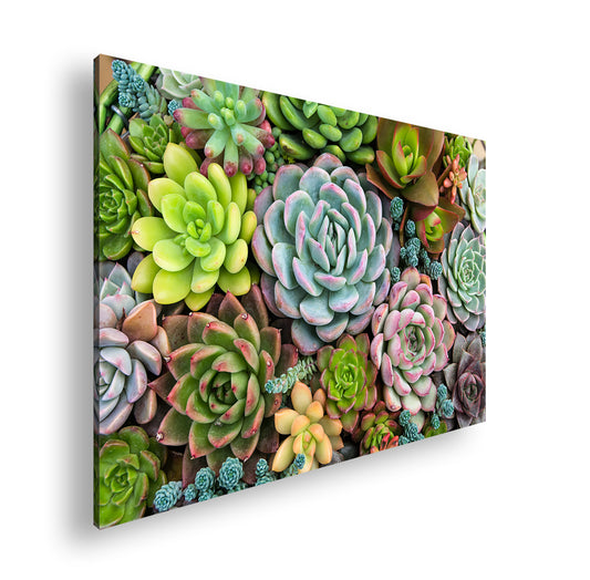 Hauptbild Farbig Standart